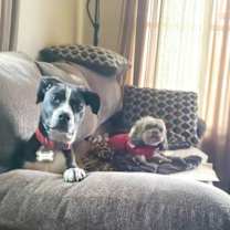Thumbnail photo of Suku #3