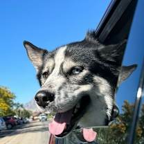 Thumbnail photo of Seth #2
