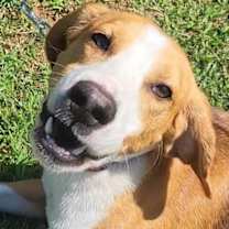 Thumbnail photo of Wrangler #1