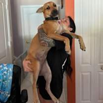 Thumbnail photo of Roo #4