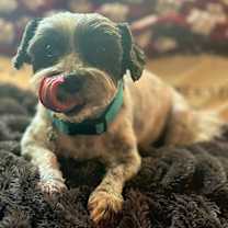 Thumbnail photo of Nico #3