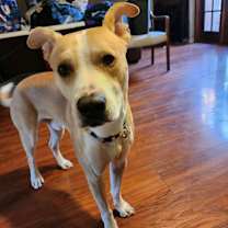 Thumbnail photo of Spike #2