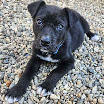 Thumbnail photo of Tank #2