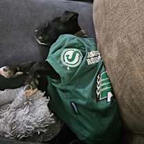 Thumbnail photo of Tank #4