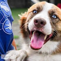 Thumbnail photo of Phoebe #1