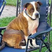 Thumbnail photo of Mugsy #1