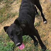 Thumbnail photo of Harvey #2