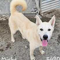 Thumbnail photo of Miska #1