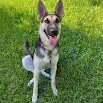 Thumbnail photo of Nala Stacy #1