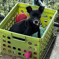 Thumbnail photo of Cruz #3