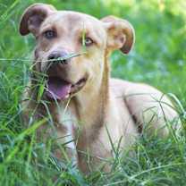Thumbnail photo of Miles #3