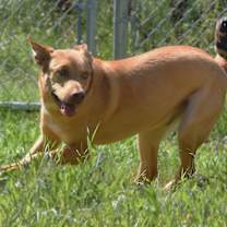 Thumbnail photo of Miles #4