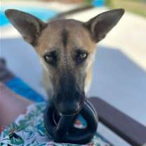 Thumbnail photo of Barry (TX) #2