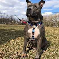 Thumbnail photo of Isabella (AL) #4
