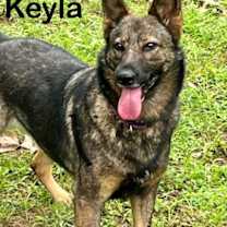 Thumbnail photo of Kela #2