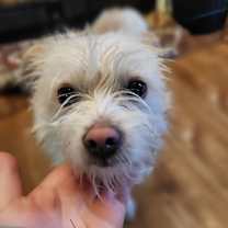Thumbnail photo of Zane #3