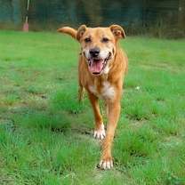 Thumbnail photo of MAVERICK #3
