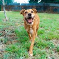 Thumbnail photo of MAVERICK #4