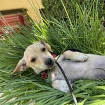 Thumbnail photo of Glenn #4