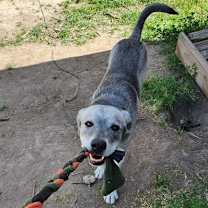 Thumbnail photo of Andre #4