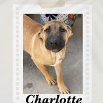 Thumbnail photo of Charlotte #3