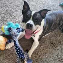 Thumbnail photo of Talia #1