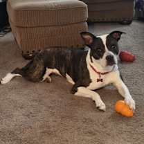 Thumbnail photo of Talia #4