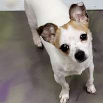 Thumbnail photo of Cynthia #4