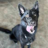 Thumbnail photo of Duffy #3