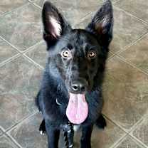 Thumbnail photo of Duffy #4