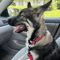 Thumbnail photo of Tonka #2