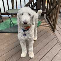 Thumbnail photo of MILO #3