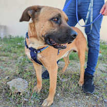 Thumbnail photo of René #4