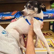 Thumbnail photo of Spot 1 #4