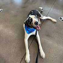 Thumbnail photo of Ernie #2