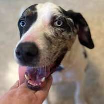 Thumbnail photo of Ernie #1