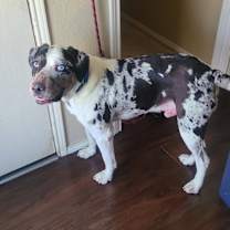 Thumbnail photo of Ernie #4