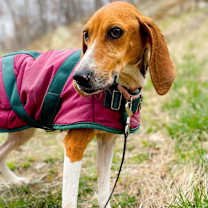 Thumbnail photo of Annie #3