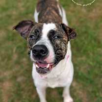 Thumbnail photo of Lily #3