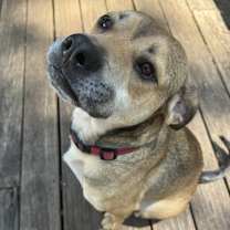 Thumbnail photo of Guinness #3