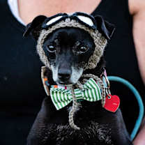 Thumbnail photo of Slick Rick #1