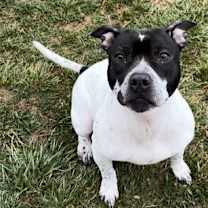 Thumbnail photo of Estelle #4