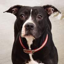 Thumbnail photo of Nellie #3