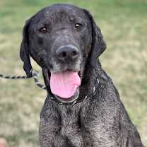 Thumbnail photo of Peyton #1