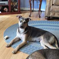 Thumbnail photo of Starr #1