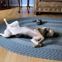 Thumbnail photo of Starr #3
