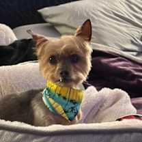 Thumbnail photo of Harper #2