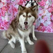 Thumbnail photo of Bonnie #4