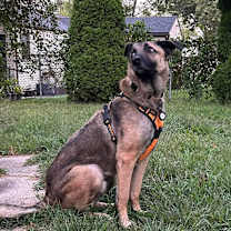 Thumbnail photo of Boone Robinson #2