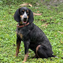 Thumbnail photo of RORI #1